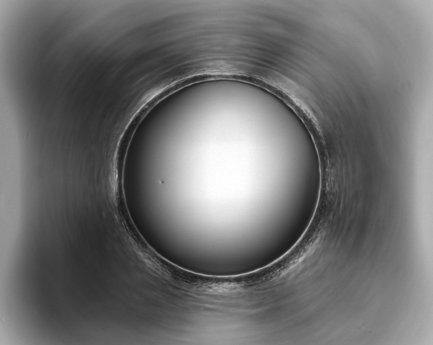 X0000094070837200710261245