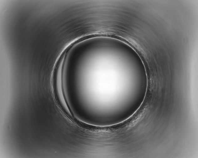 X0000094070838200710261245