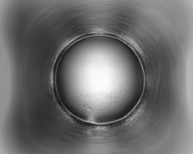 X0000094070839200710261245