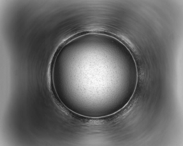 X0000094070840200710261245