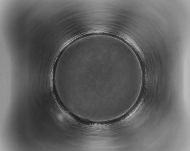 X0000094070842200710261245