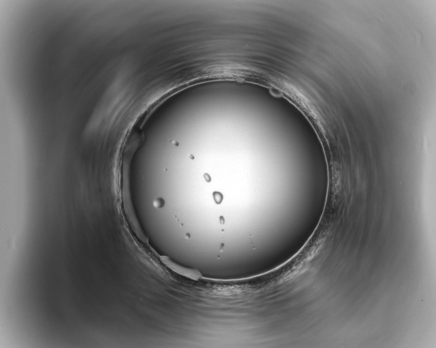 X0000094070843200710261245