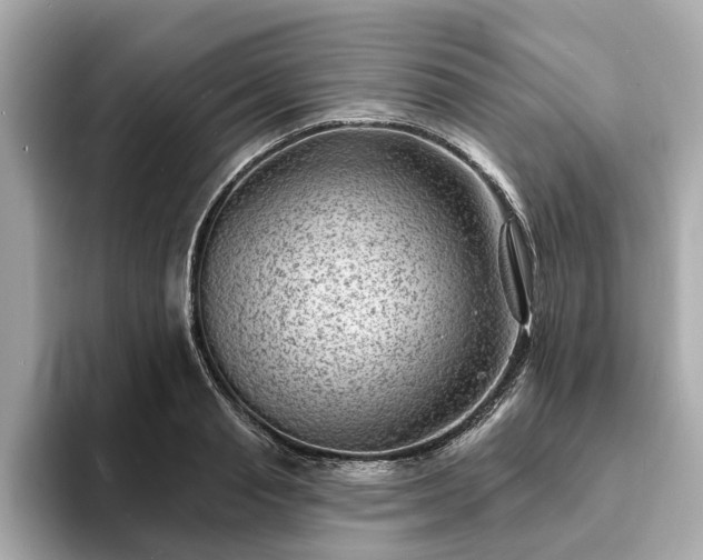 X0000094070845200710261245