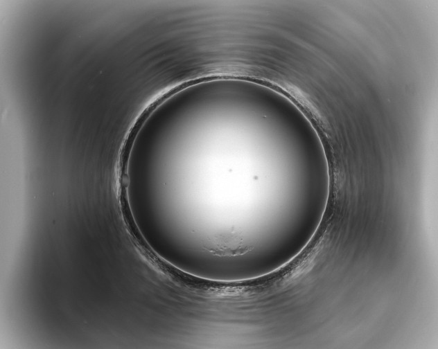 X0000094070846200710261245