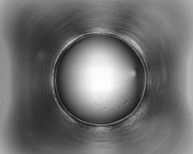 X0000094070847200710261245