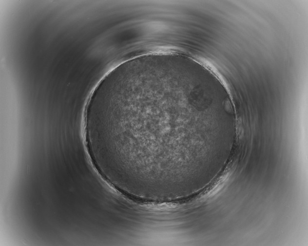 X0000094070851200710261245