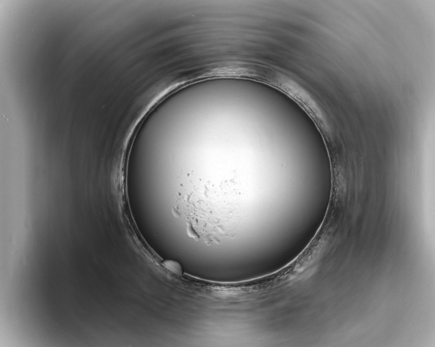 X0000094070852200710261245