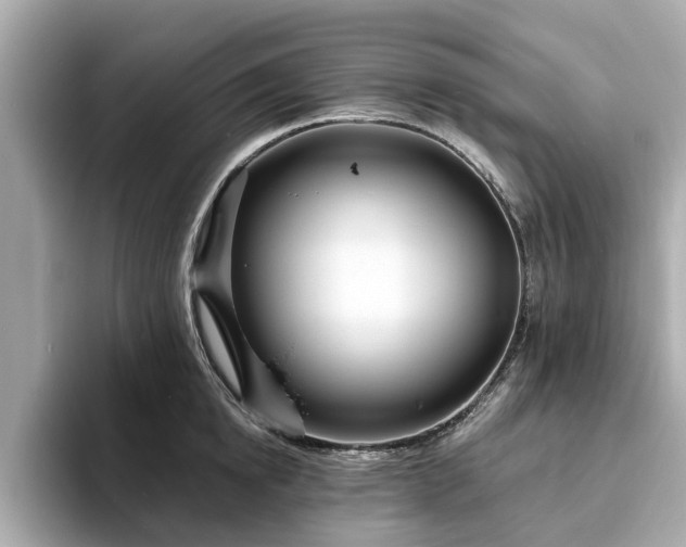 X0000094070854200710261245