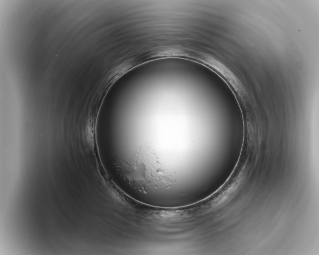 X0000094070857200710261245