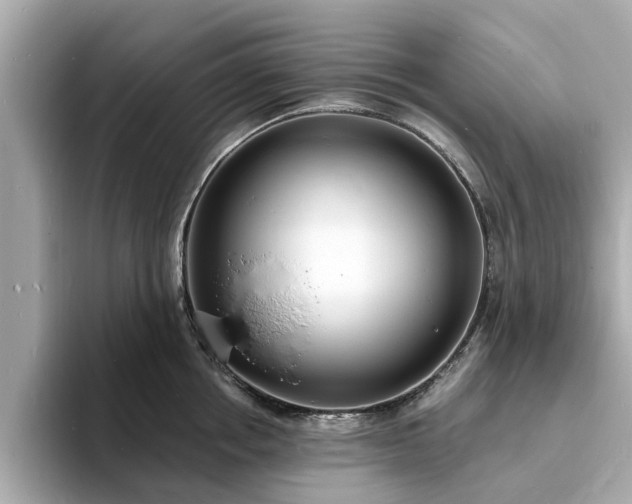 X0000094070858200710261245