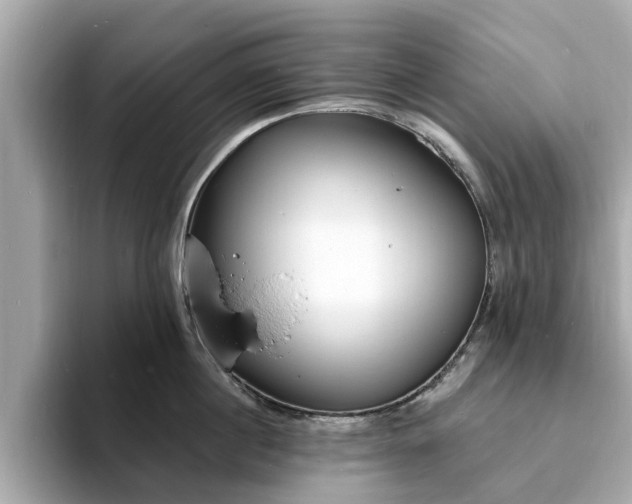 X0000094070860200710261245