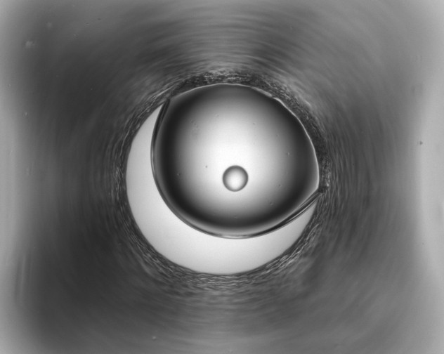 X0000094070868200710261244