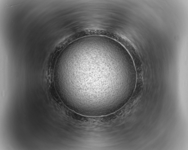 X0000094070870200710261244
