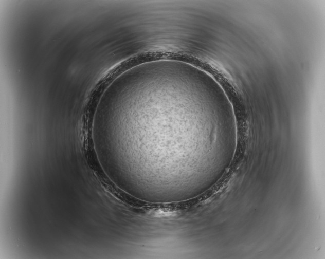 X0000094070872200710261244