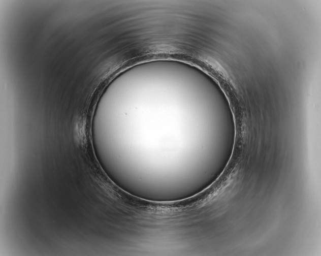 X0000094070873200710261244