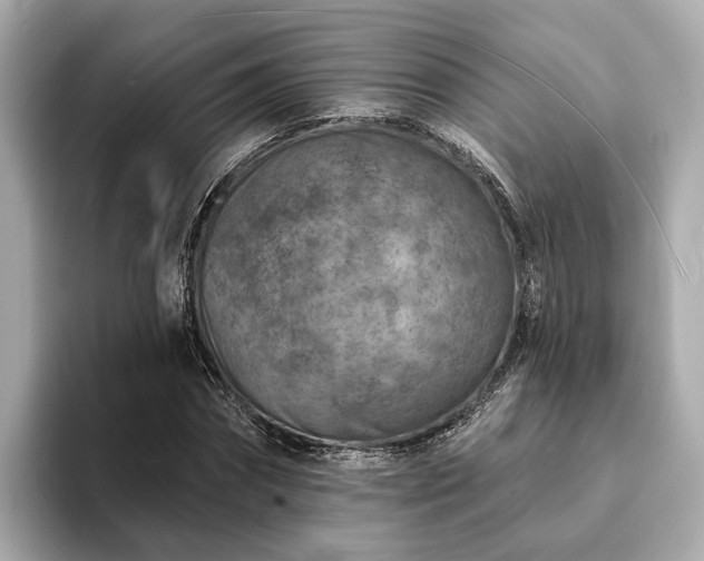 X0000094070874200710261244