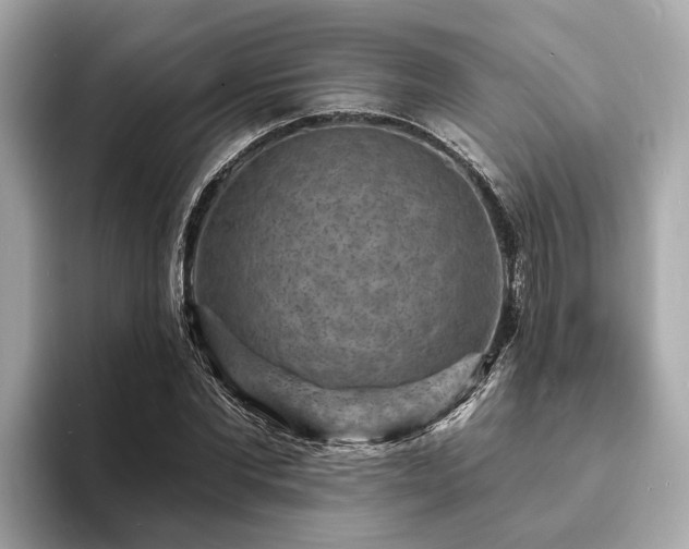 X0000094070877200710261244