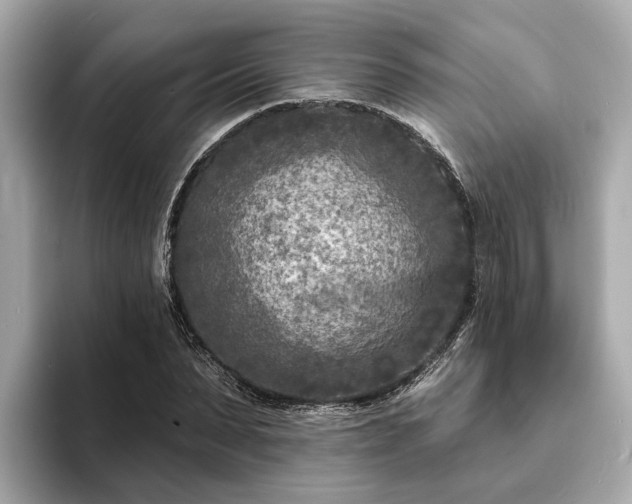 X0000094070879200710261244