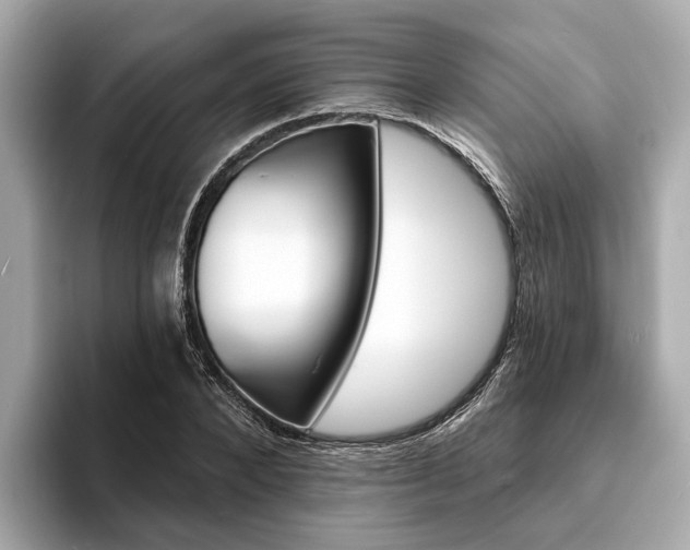 X0000094070880200710261244