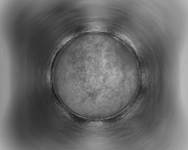 X0000094070882200710261244