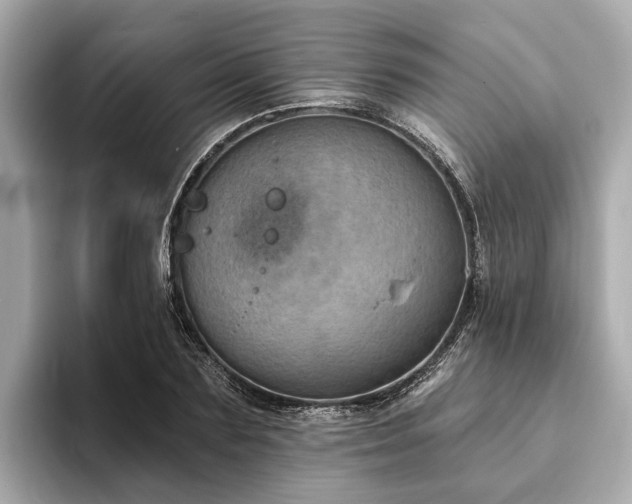 X0000094070883200710261244