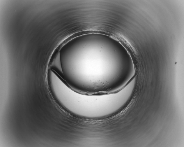 X0000094070884200710261244