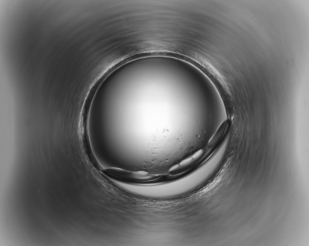 X0000094070885200710261244