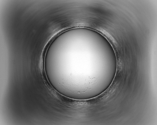 X0000094070886200710261244