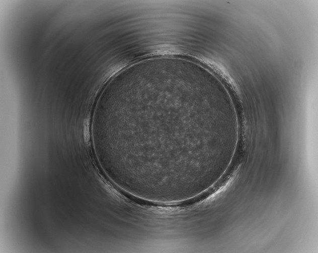 X0000094070889200710261244
