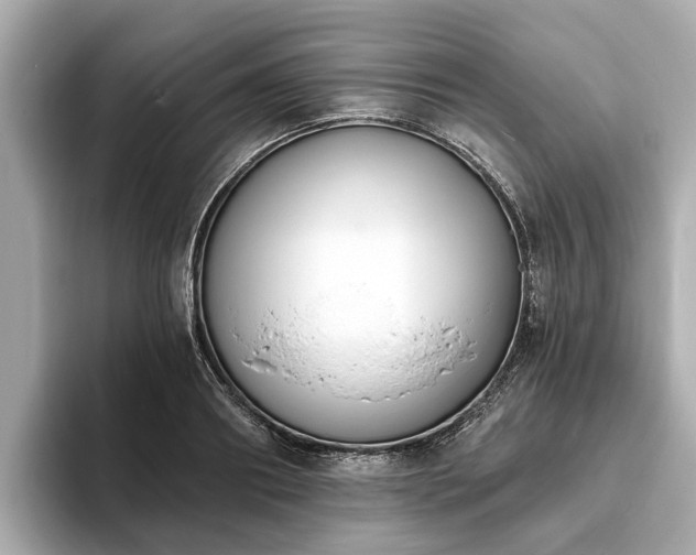 X0000094070890200710261244