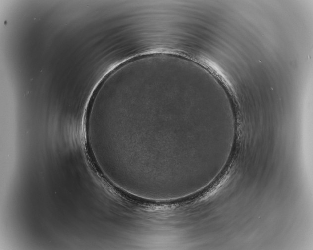 X0000094070892200710261244