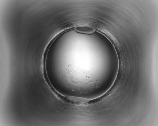 X0000094070894200710261244