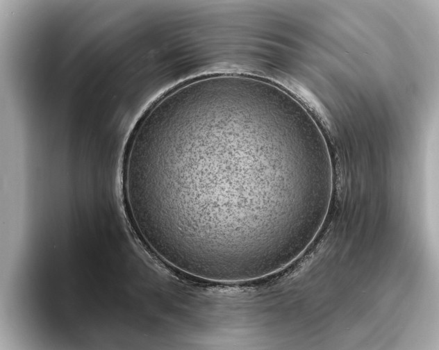 X0000094070896200710261244
