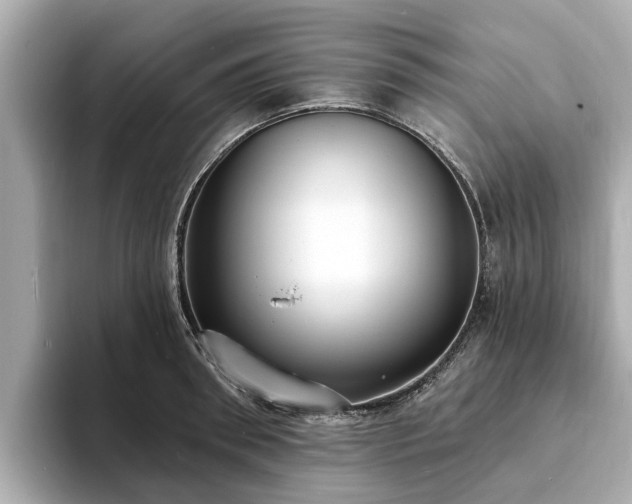 X0000094070898200710261244