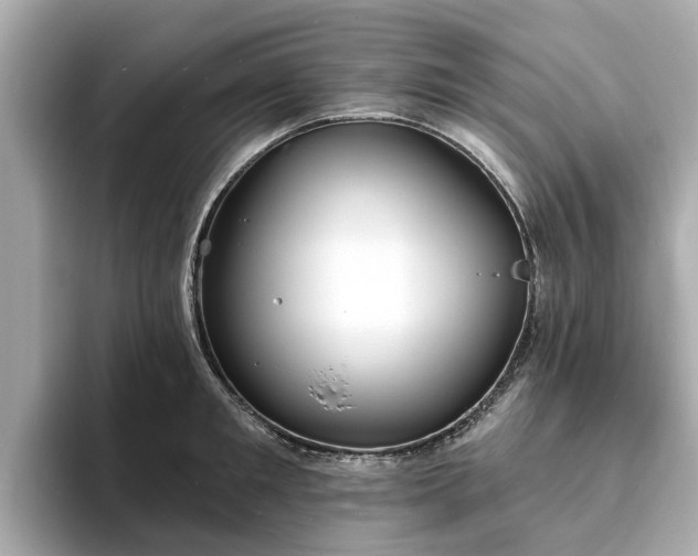 X0000094070901200710261244