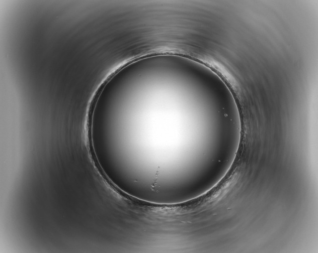 X0000094070902200710261244