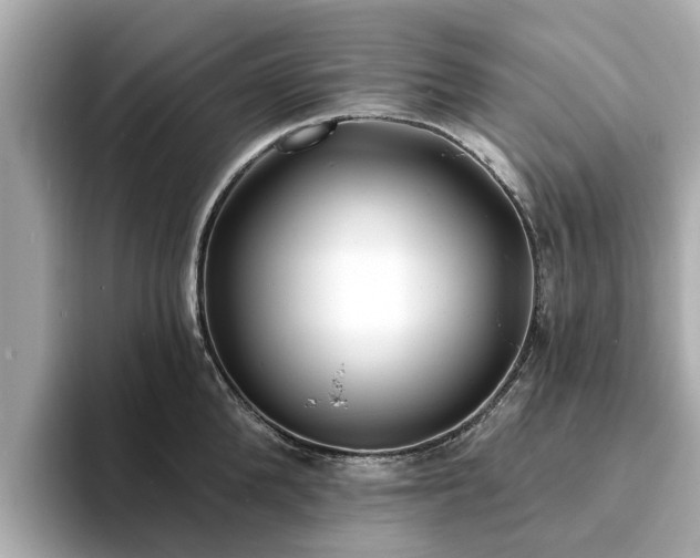 X0000094070904200710261244