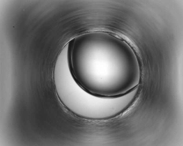 X0000094070905200710261244
