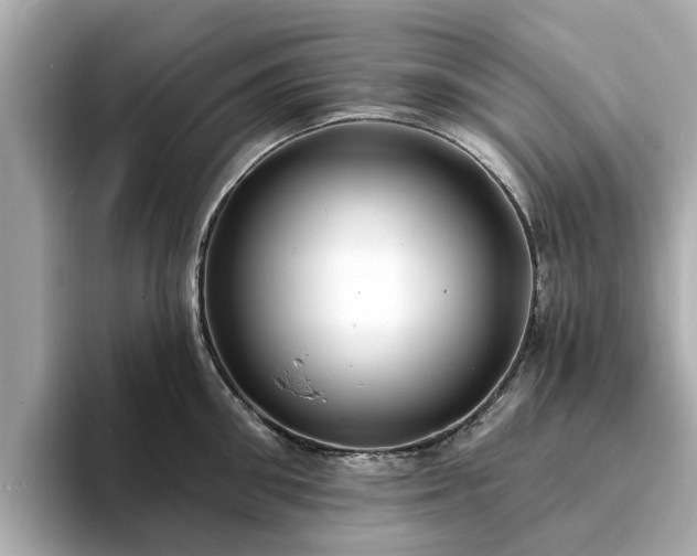 X0000094070906200710261244