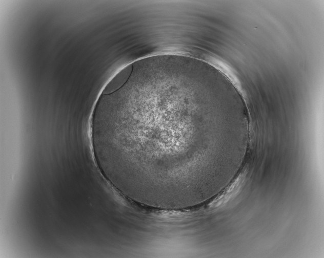 X0000094070907200710261244