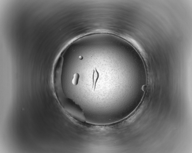 X0000094070910200710261244
