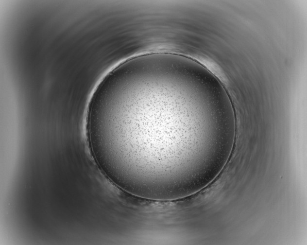X0000094070912200710261244