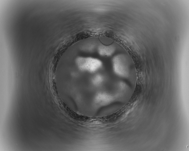 X0000094070913200710261243