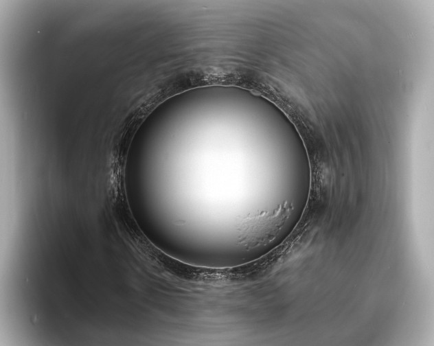 X0000094070914200710261243