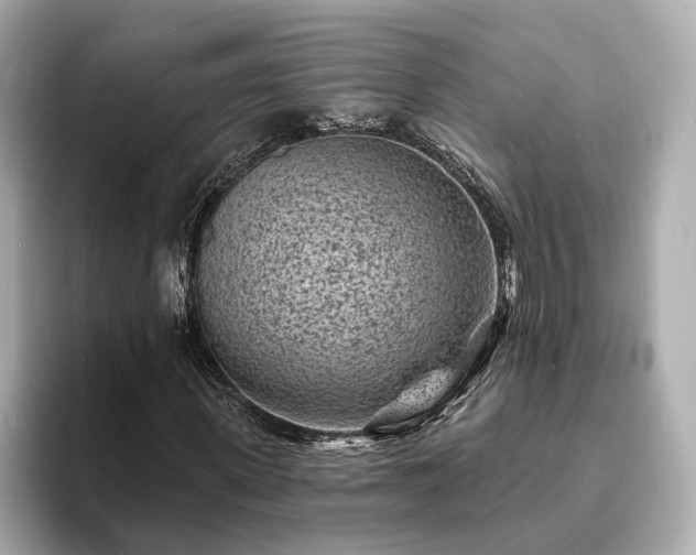 X0000094070915200710261243