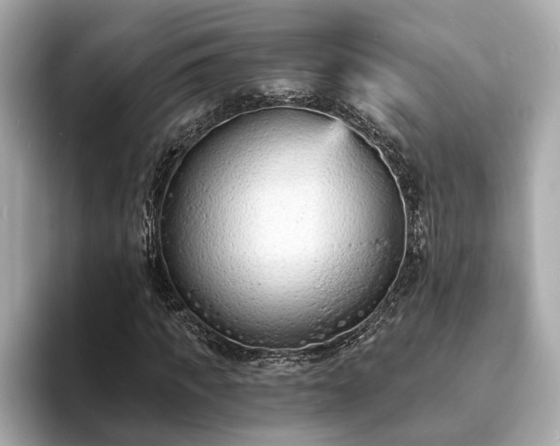 X0000094070917200710261243