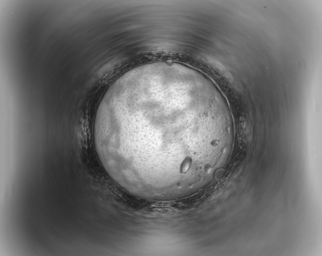 X0000094070918200710261243