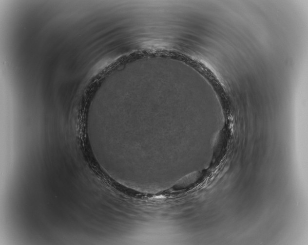 X0000094070919200710261243