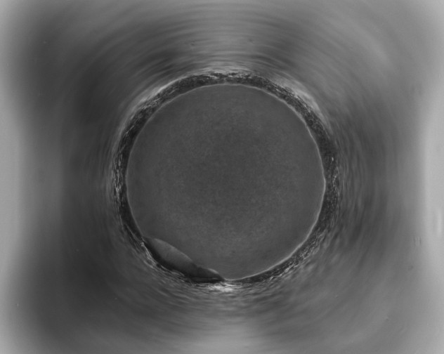 X0000094070920200710261243