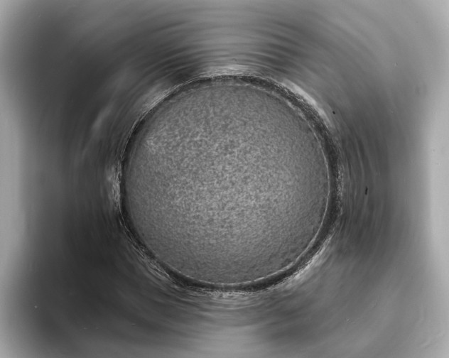 X0000094070921200710261243
